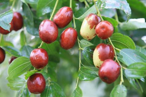 河南20个市县被省里看上将获补贴 看看有你家