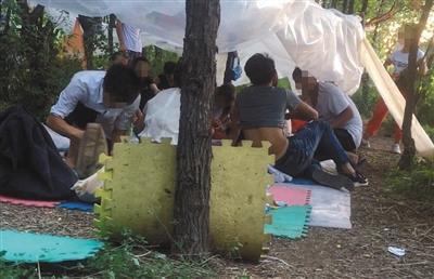 	8月4日,天津静海曹官庄村北枣树林深处,十多名传销人员搭着简易帐篷,在野外逃避打击。 
