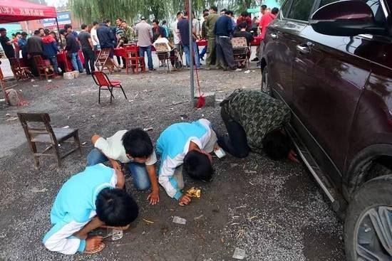 河南小乡村蟋蟀生意火爆 价格倍增有村民能赚