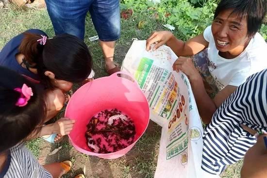 河南小乡村蟋蟀生意火爆 价格倍增有村民能赚