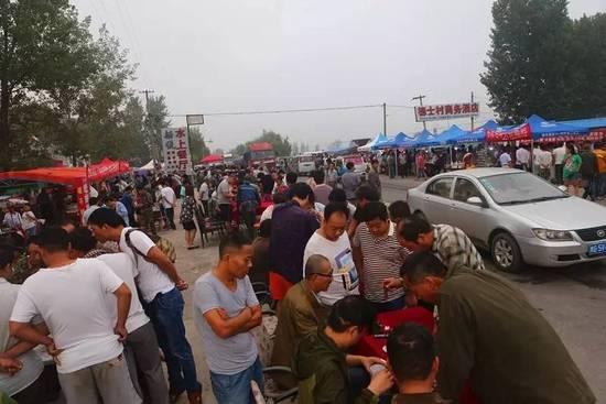 河南小乡村蟋蟀生意火爆 价格倍增有村民能赚