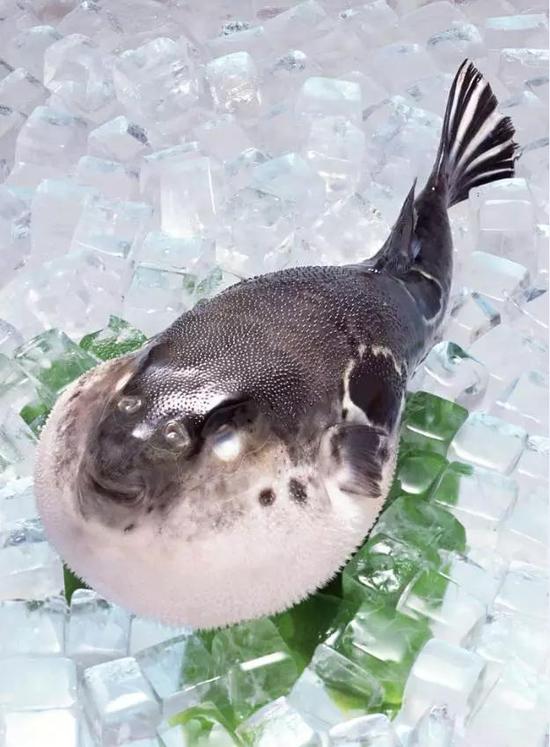 吃货不可不知的绝妙之地 号称南阳zui赞美食集合地