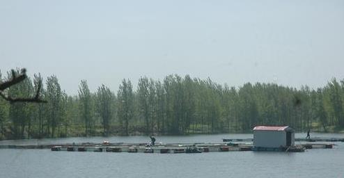 （西平縣蘆廟村）