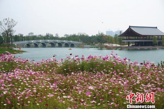 圖為鄭州園博園里的一景。　韓章云 攝