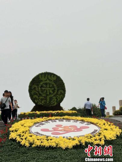 各地游客前来赏 杨大勇 摄