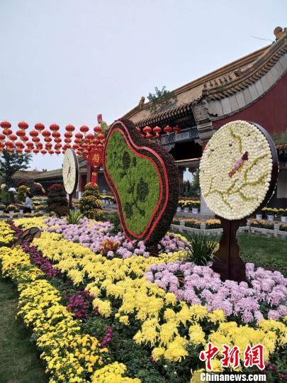 各色菊花令游客大饱眼福 杨大勇 摄