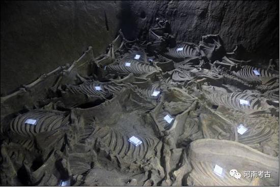 東南角擺放的馬骨