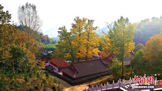 隱居深山的文殊寺和古銀杏樹成了秋日里的一道盛景。韓章云 攝