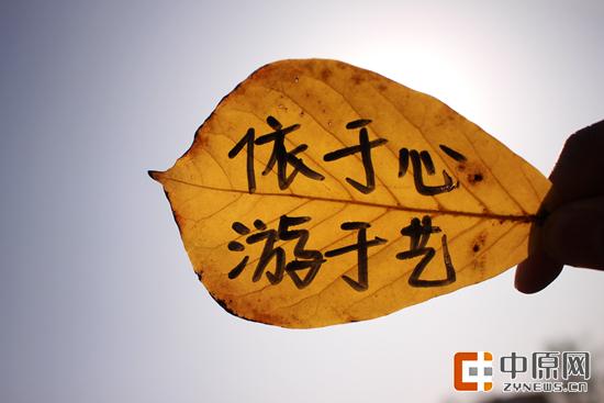 堆积着的落叶就像堆积着的时间,往事如风,明日难测,如今是最好的!
