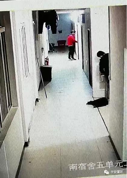 漯河男子离职后找工友玩 见财起意偷手机 漯河男子离职后找工友玩 见财起意偷手机