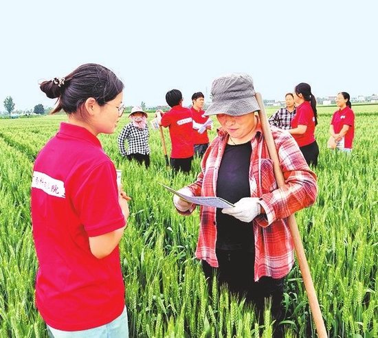 科技小院的学生们在田间地头科普农业知识。