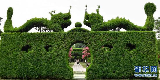 城市绿意(摄于淮阳县)