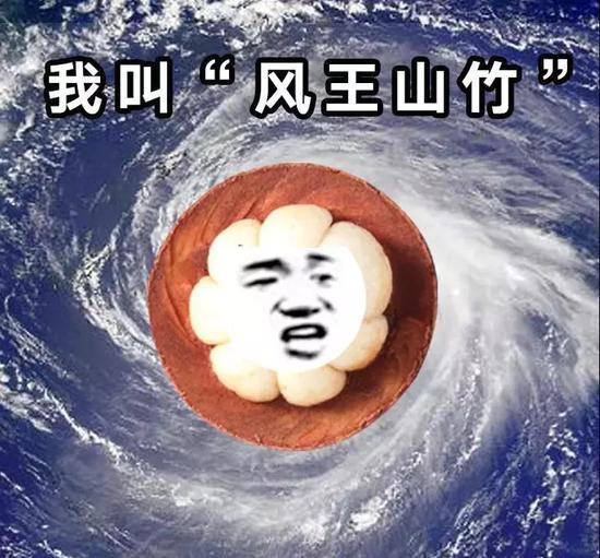 ֣�ݵ��㶫����������ͣ�� ��