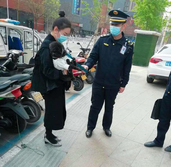 @郑州市民 违规养犬、遛犬、不年检将面临3000元处罚