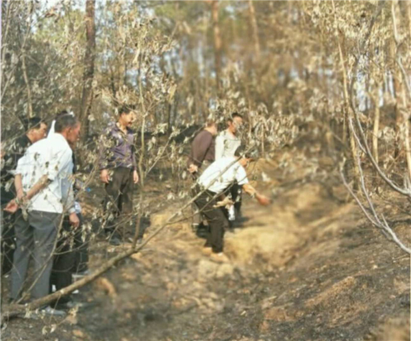 南阳八旬老人奋勇扑救山火遇难 葬礼上故事感动乡邻 南阳八旬老人奋勇扑救山火遇难 葬礼上故事感动乡邻