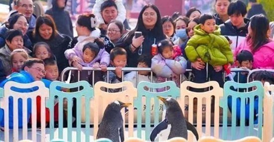 春节假期，郑州全市接待游客1790.7万人次！哪些景区最火爆？