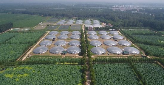 中牟县龙祥水产基地蒙古包式自排污漏斗型池塘。 本报资料图片