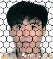 姓名:李*卿