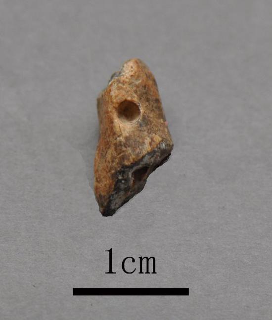 这是栾川龙泉洞旧石器遗址出土的骨器（资料照片）。新华社发