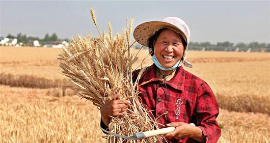 周口国家农高区喜获丰收。本报资料图片