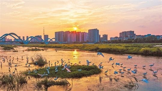（图片来源：河南日报）
