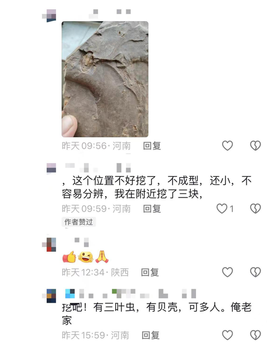 去新密挖化石“发家致富”？这样做可能违法！