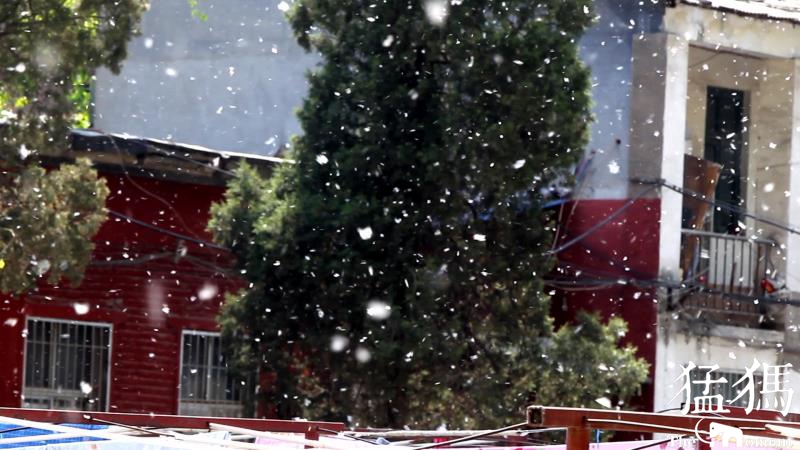 猛犸新聞·東方今報記者 張曉冬 萌友 李佳