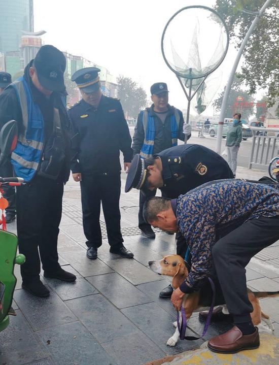 @郑州市民 违规养犬、遛犬、不年检将面临3000元处罚