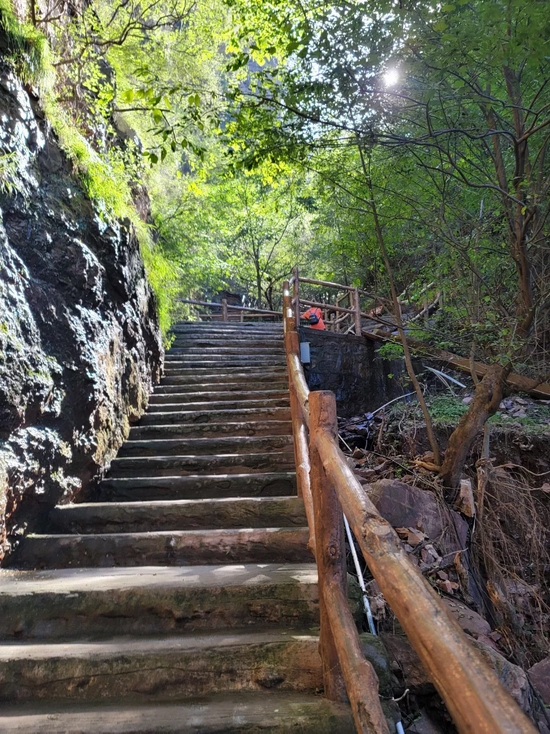 免票季|重阳节来九峰山能免费玩什么项目?