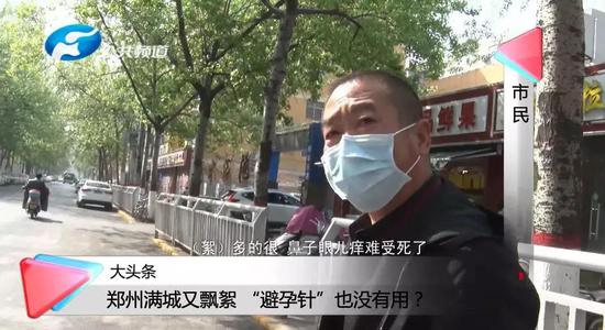 郑州满城又飘絮 “避孕针”也没有用?