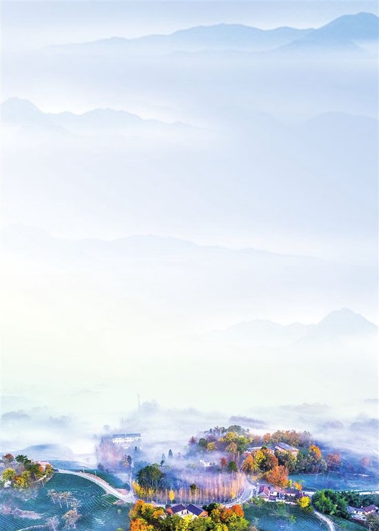 信阳浉河万亩茶山，晨光云海漫过山岗，红叶村舍隐于雾霭，勾勒茶乡独有的秋日盛景。