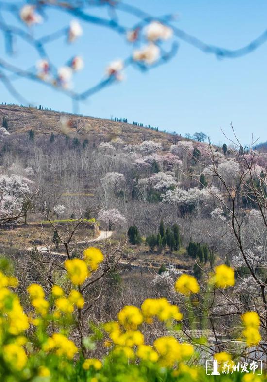 伏羲山 张为涛 摄影