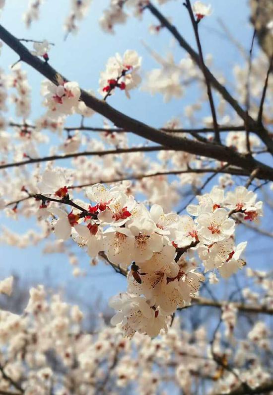 大河報(bào)·大河客戶端記者 劉瑞朝