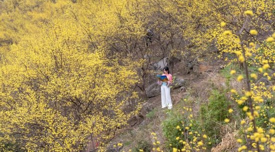 老界岭景区。图片来源：老界岭景区微信公众号