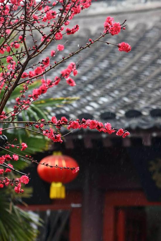 云想衣裳花想容，春風拂檻露華濃。