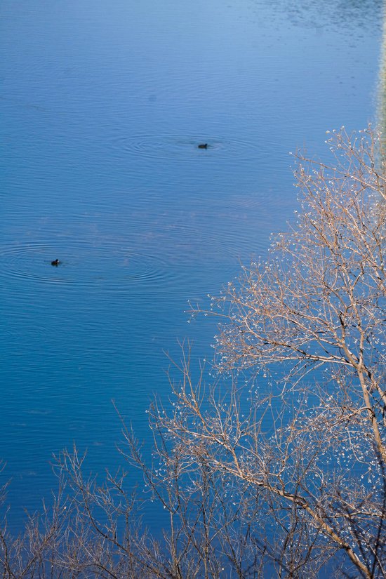 蓝天下的北龙湖