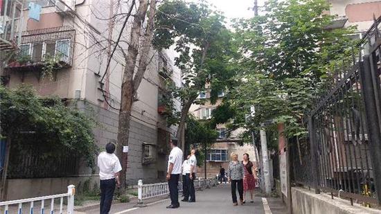 郑州六十年枯树树皮乱掉险伤人 市民呼吁排除隐患