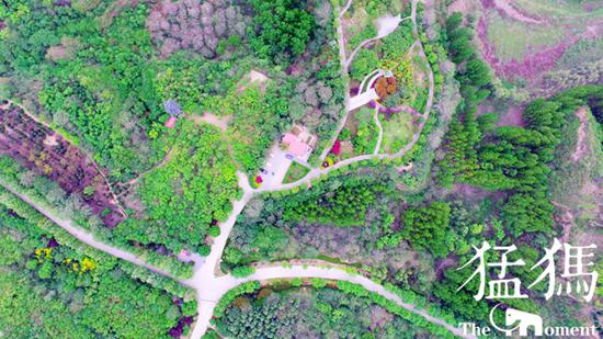 （資料圖片 猛犸新聞·東方今報記者 沈翔 攝）