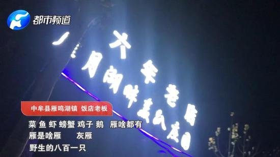 野生灰雁800元一只