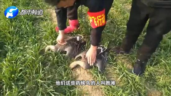 盗猎者每次猎杀都有百余只