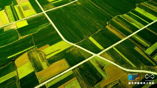 大自然美麗的畫卷（攝于汝陽縣蔡店鎮）。新華網發（高山岳攝 ）