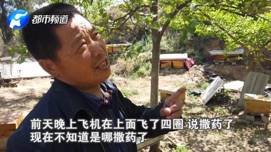 但農(nóng)藥到底有沒有噴灑，蜂農(nóng)們也不得而知。