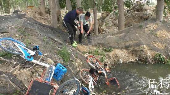 猛犸新聞·東方今報記者 張曉冬 萌友 朱幸