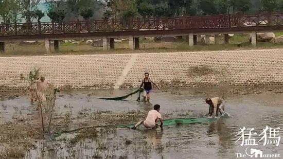 猛犸新聞·東方今報記者 張曉冬 萌友 岳永溆
