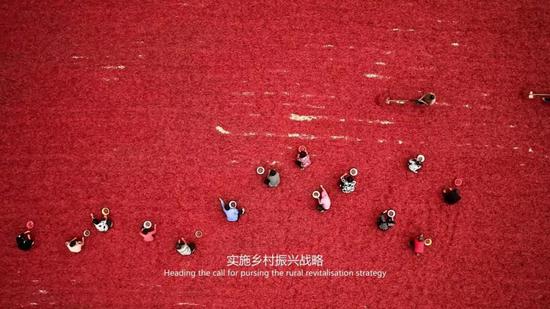 茹振刚,中国小麦专家