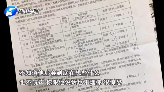 为什么培训班会有狗呢?