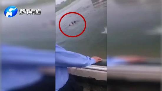 点赞！洛阳母女意外落水 60名