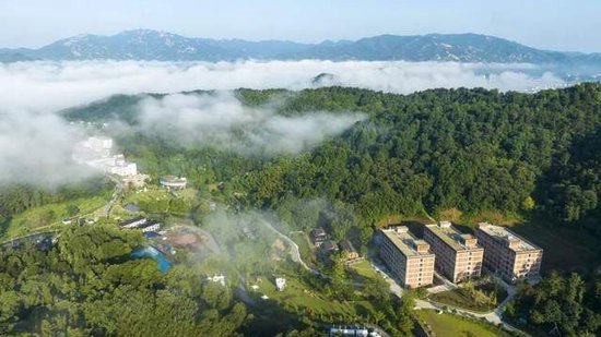 新县大别山露营公园