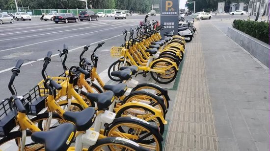 (项目整体“分色分类管理”模式规范停放效果)