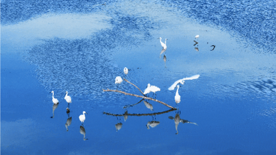 国家级名单公示！河南多地上榜→